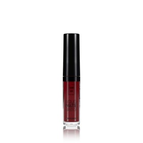 LAVISH CARE LIPCOLOR N11